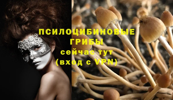 синтетический гашиш Арсеньев