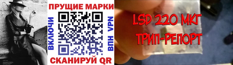 Купить закладки  Щучье  Марки NBOMe 1,8мг 