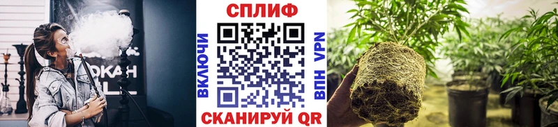 Купить  Щучье  Конопля SATIVA & INDICA 